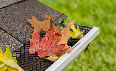 Leaf Guard Installation